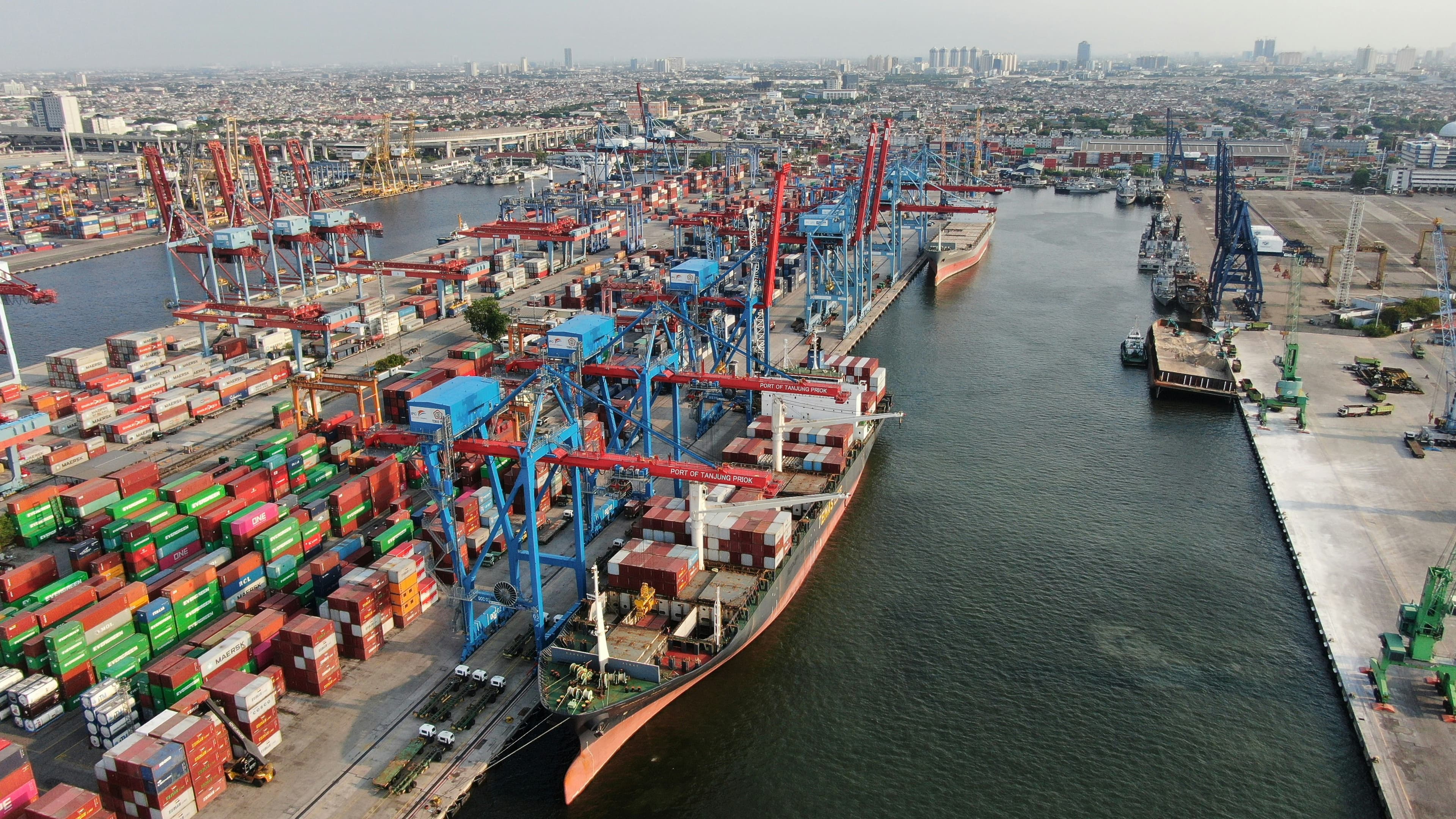 ARM Domestic Trading